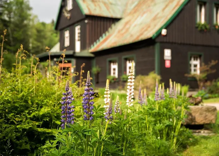 Lesniczowka Anna Apartment