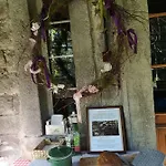 Anna שצ'קלארסקה פוראובה