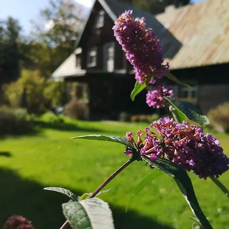 Anna Appartement Szklarska Poręba