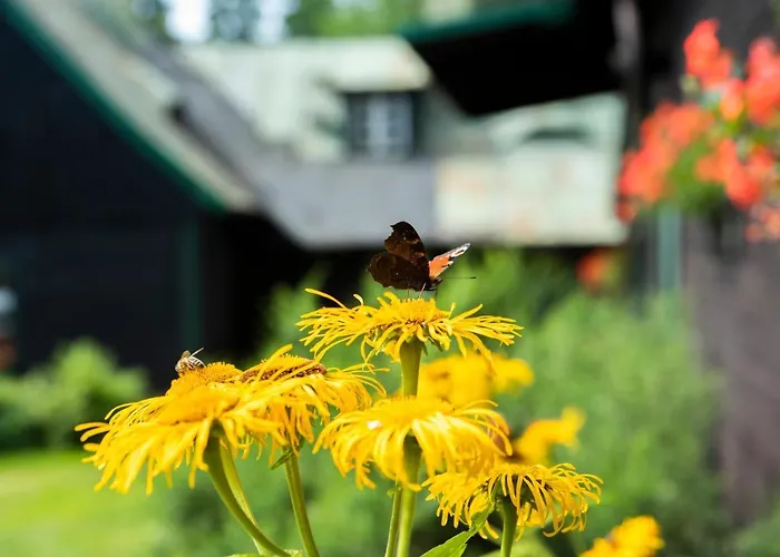 아파트 Anna 스클라르스카포렘바