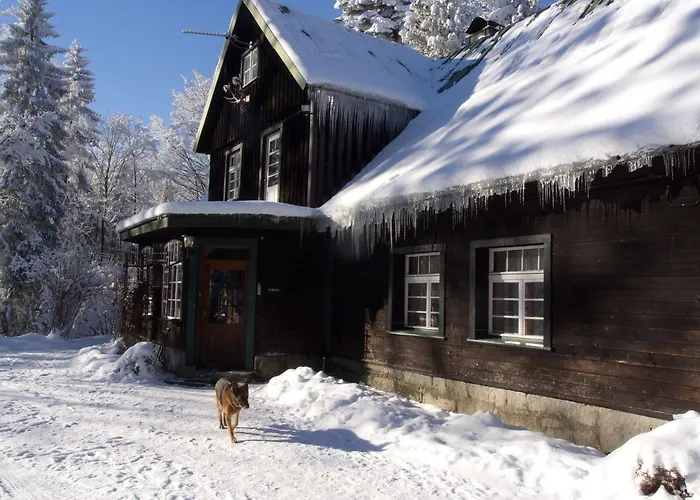 Apartment Lesniczowka Anna *