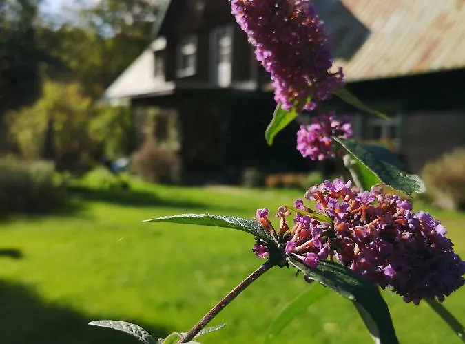 Anna 아파트 스클라르스카포렘바