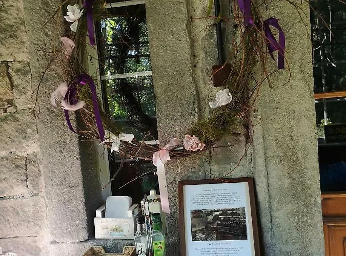 Anna 스클라르스카포렘바