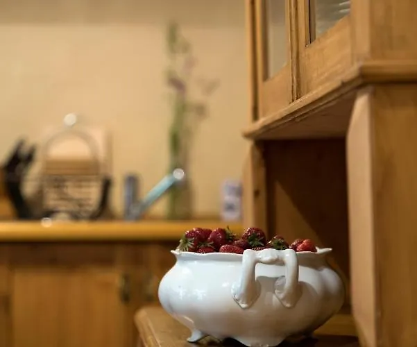 Apartment Lesniczowka Anna *